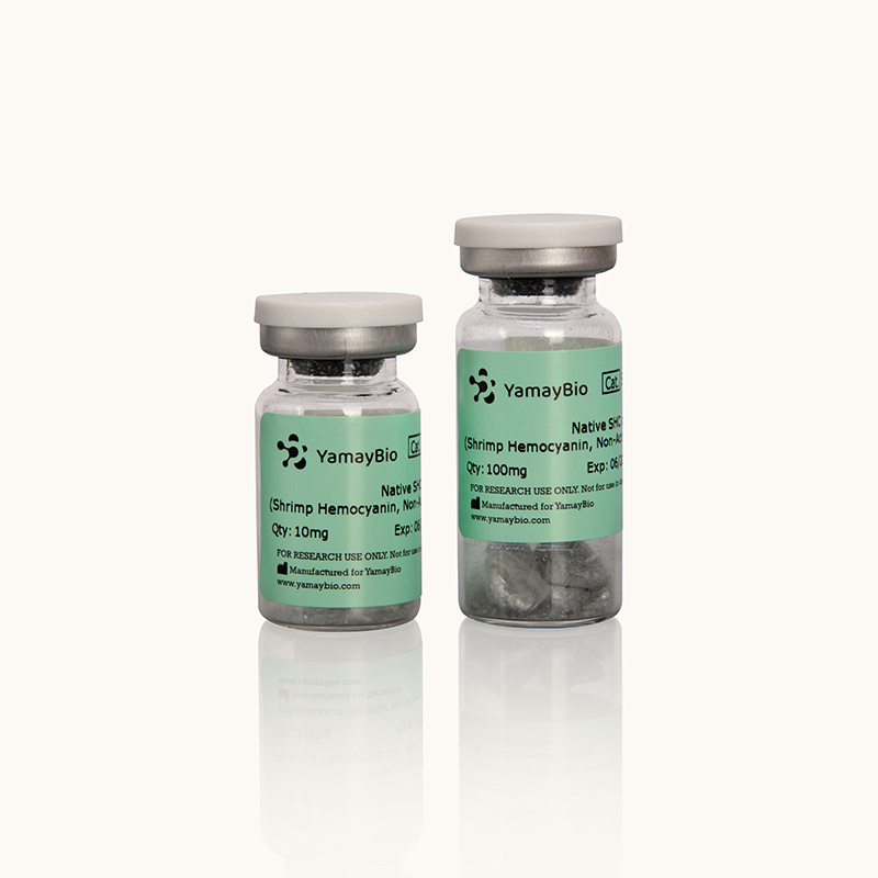 Native SHC Protein (Shrimp Hemocyanin, non-Activated, KLH substitution)