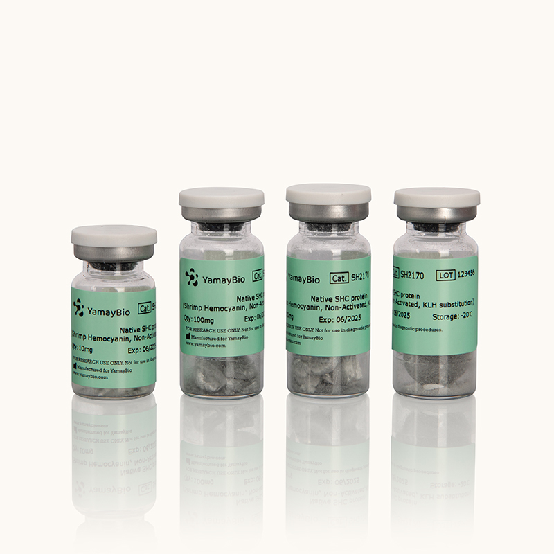 Native SHC Protein (Shrimp Hemocyanin, non-Activated, KLH substitution)