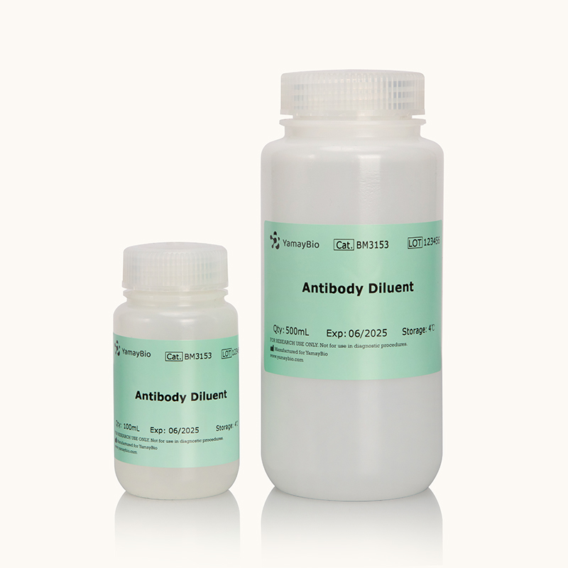 Antibody Diluent