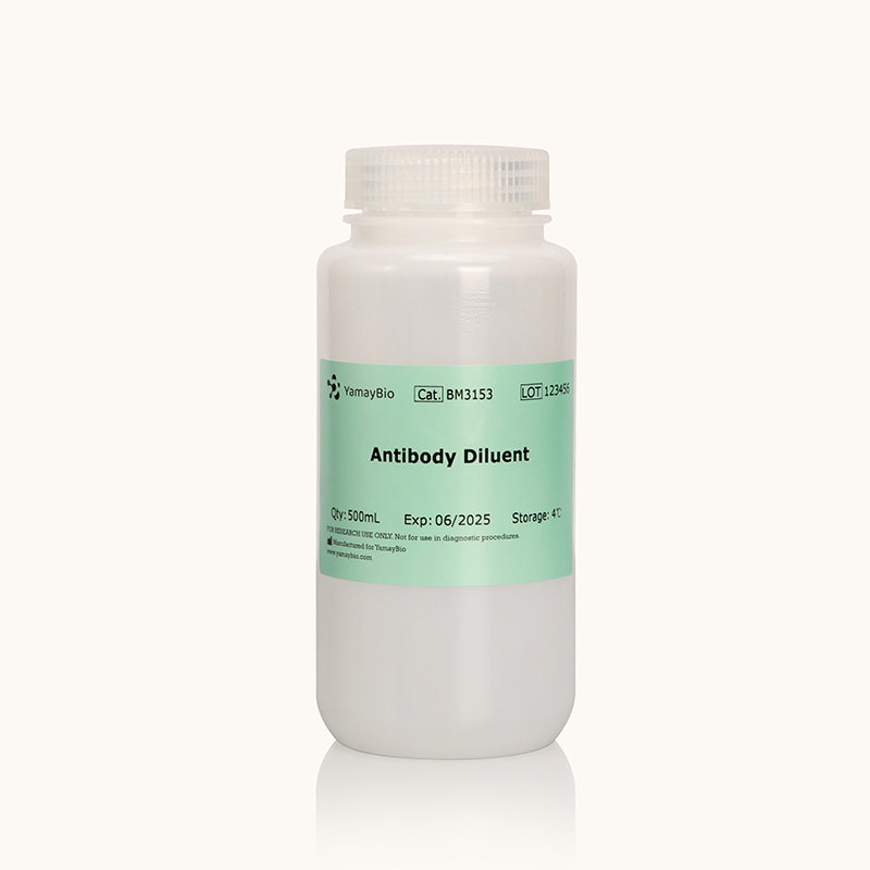 Antibody Diluent