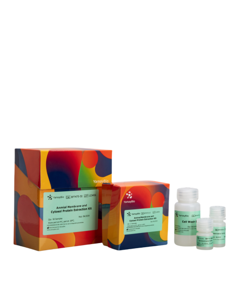   Protein Extraction Kit
