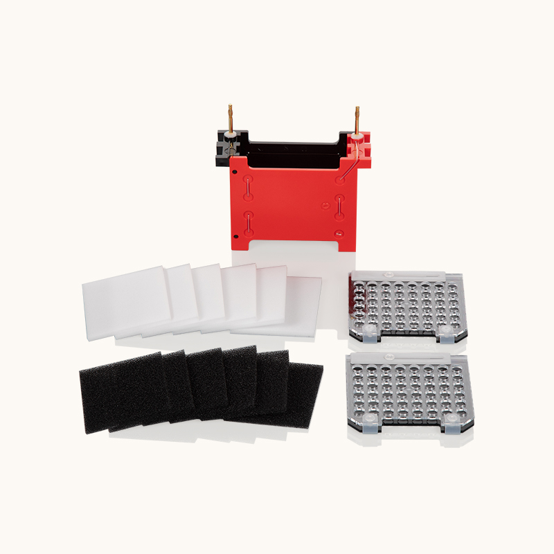 Mini Trans-Blot Electrophoretic Transfer Cell