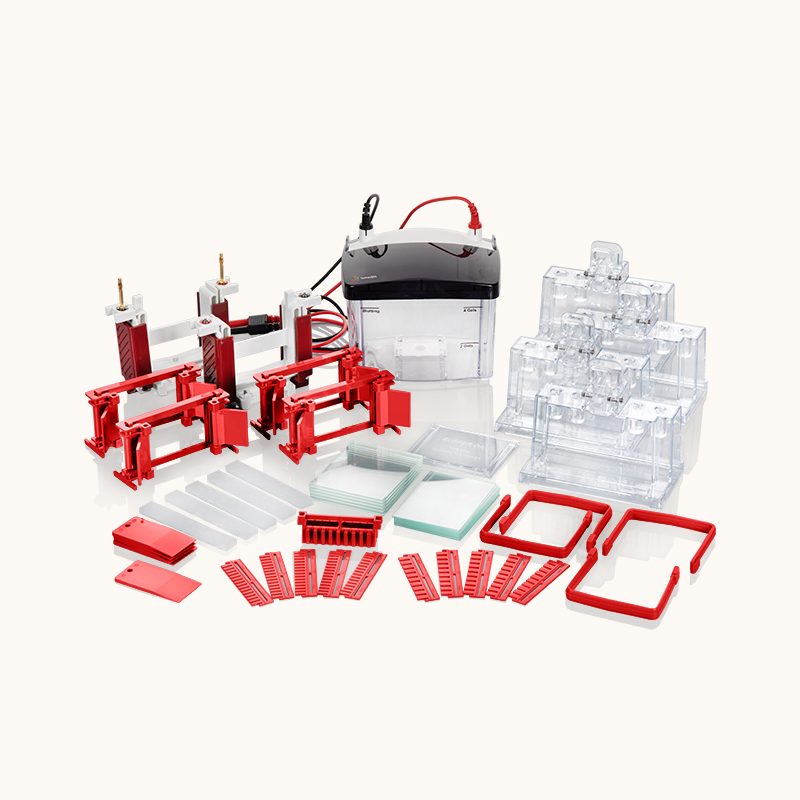 Mini Vertical Electrophoresis System