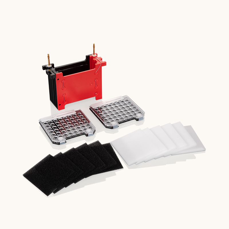 Mini Trans-Blot Electrophoretic Transfer Cell