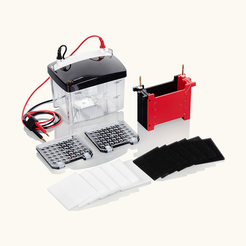 Mini Trans-Blot Electrophoretic Transfer Cell