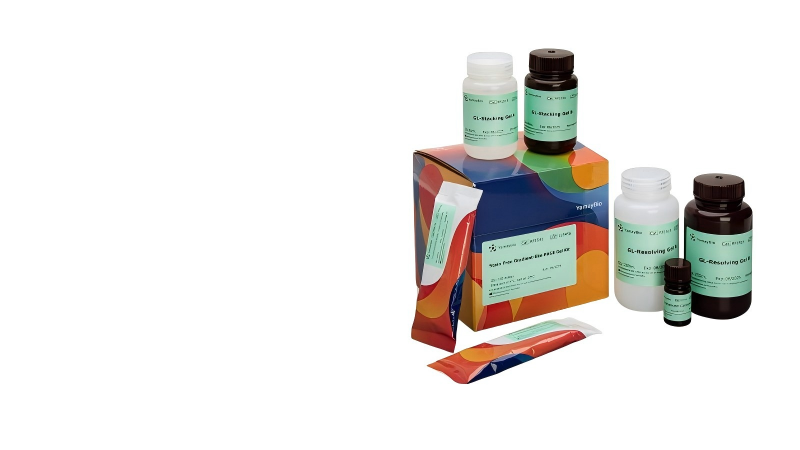 Stain Free Gradient-like PAGE Gel Kit