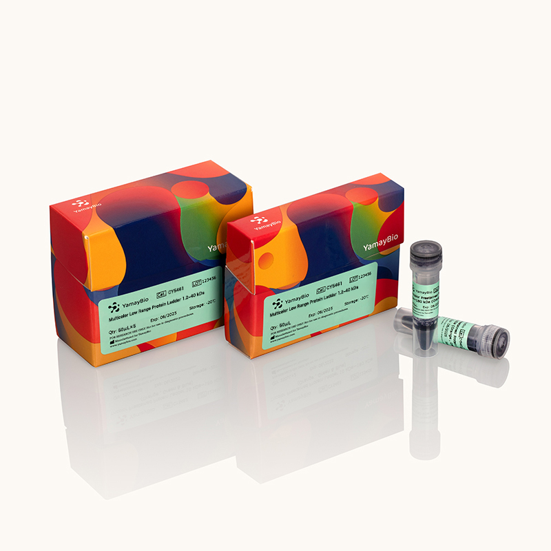 Multicolor Low Range Protein Ladder 1.2~40 kDa