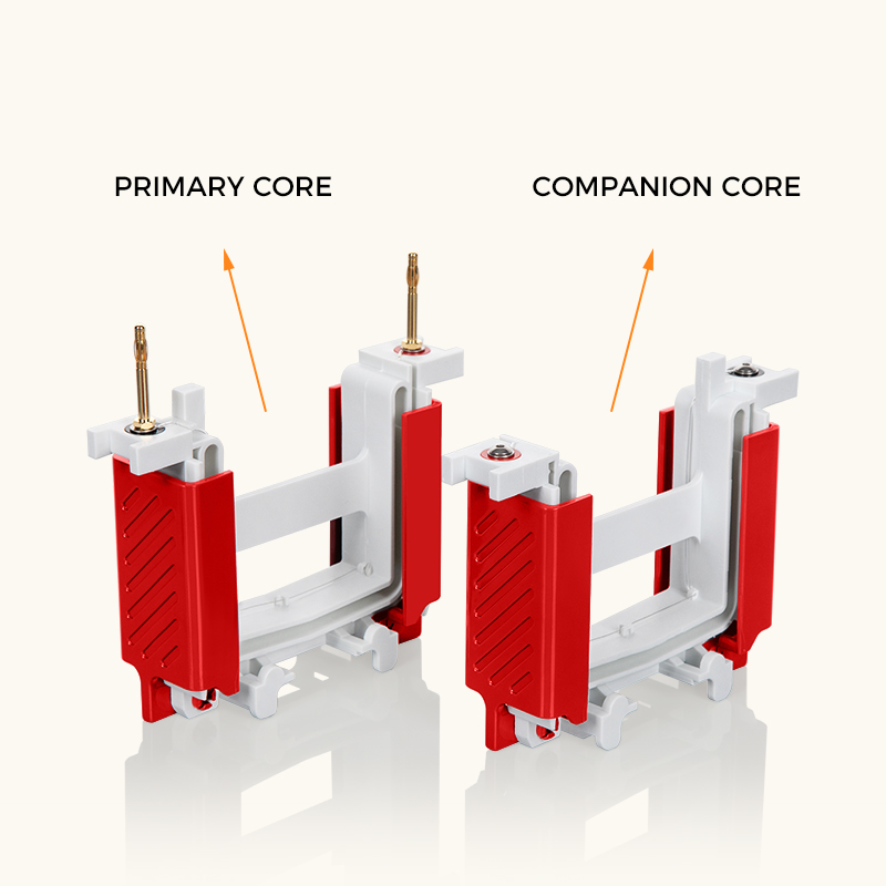 Mini Tetra Electrophoresis