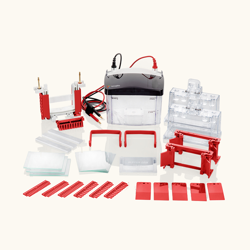 Mini Vertical Electrophoresis System
