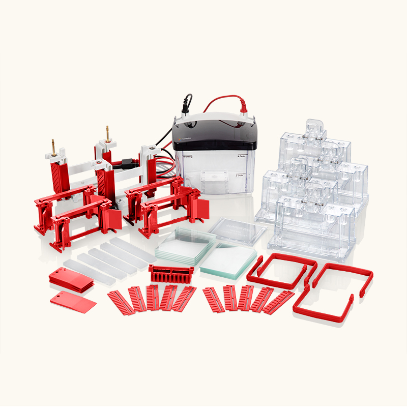 Mini Vertical Electrophoresis System