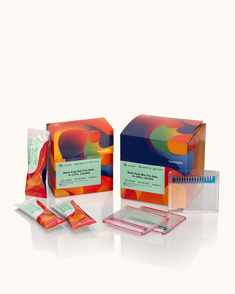 ECL Western Blotting Ultimate Sensitivity Substrate