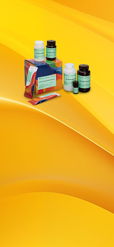 Stain Free Gradient-like 
PAGE Gel Kit