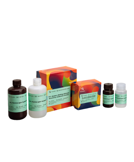 ECL Western Blotting Ultimate Sensitivity Substrate