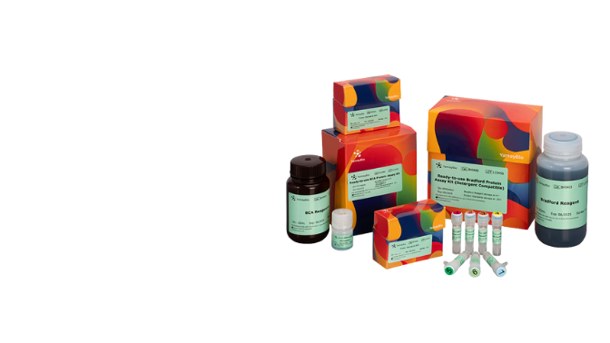 Ready-to-use Protein Assay Kit