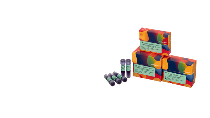 Protein Loading Buffer