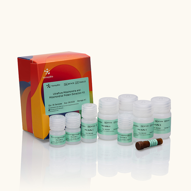 UltraPure Mitochondria and Mitochondrial Protein Extraction Kit