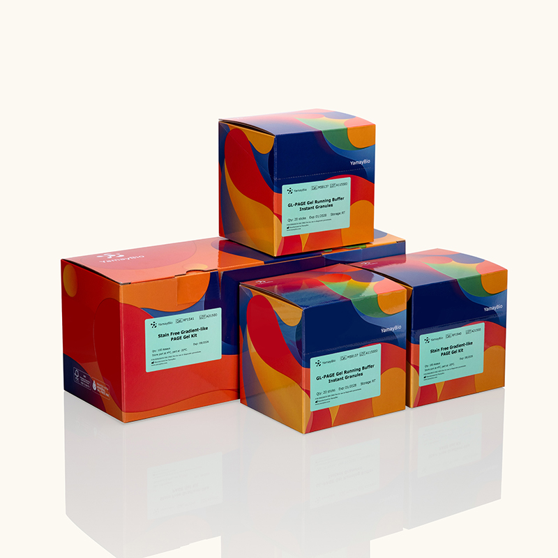 Stain-Free Gradient-like PAGE Gel Kit