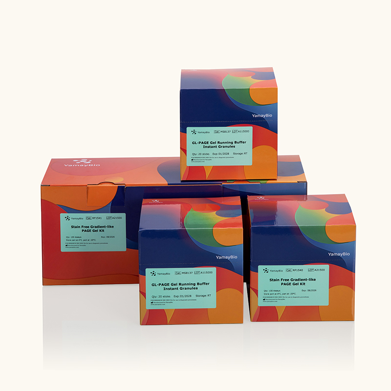 Stain-Free Gradient-like PAGE Gel Kit