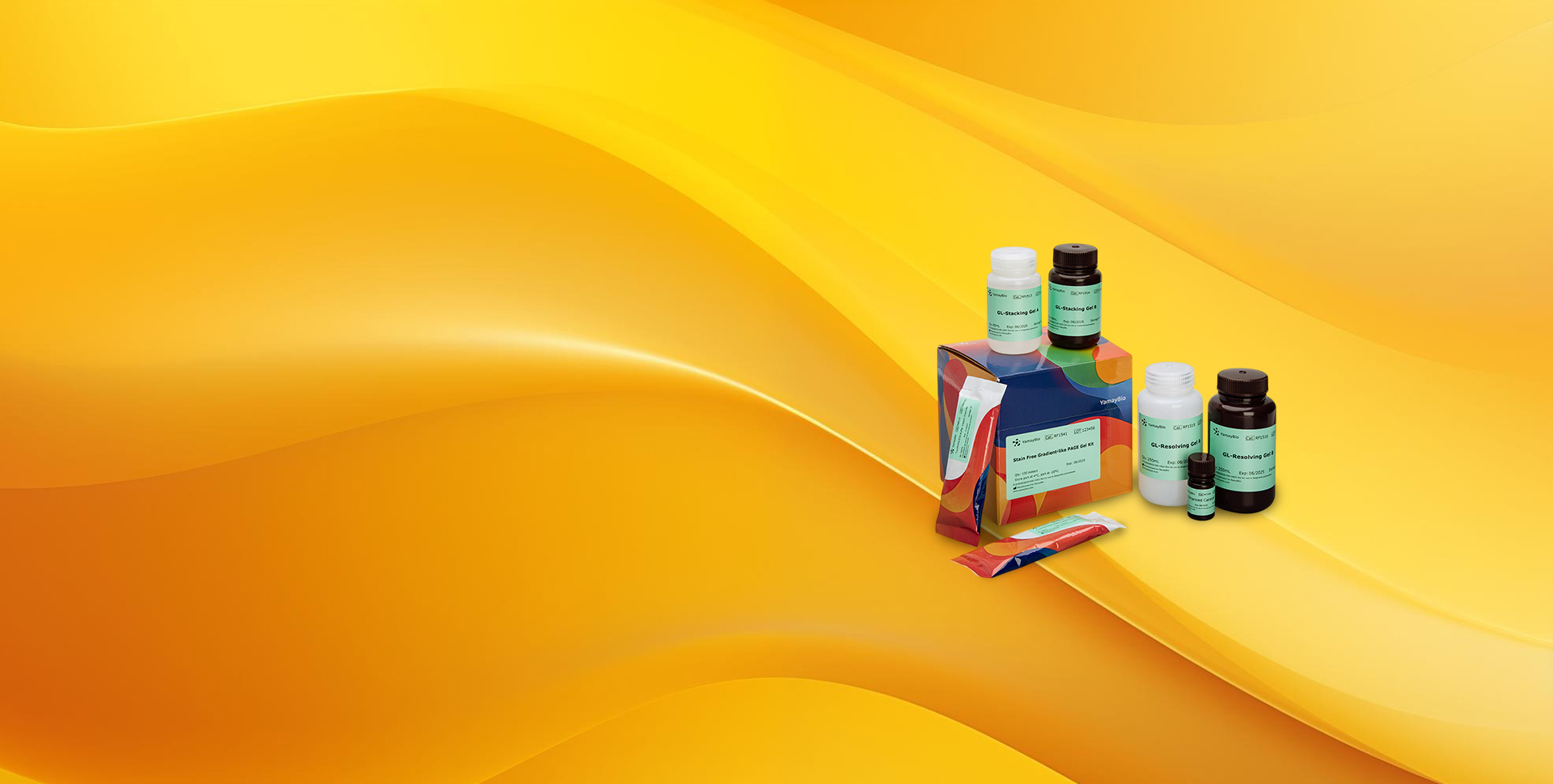 Stain Free Gradient-like 
PAGE Gel Kit