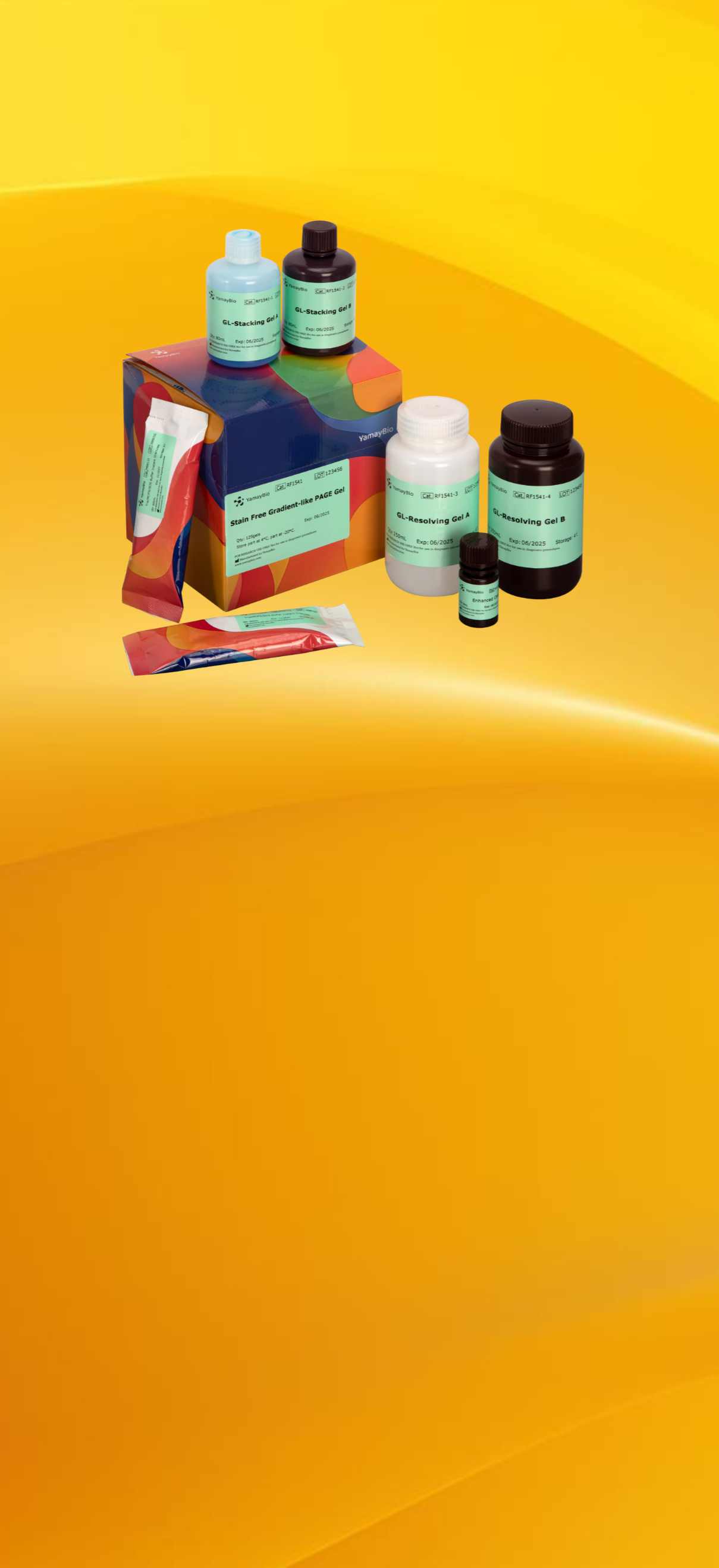 Stain Free Gradient-like 
PAGE Gel Kit