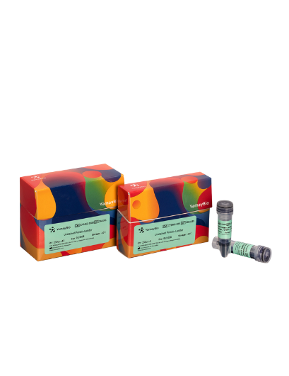 Unstained Protein Ladder 10 kDa-235 kDa