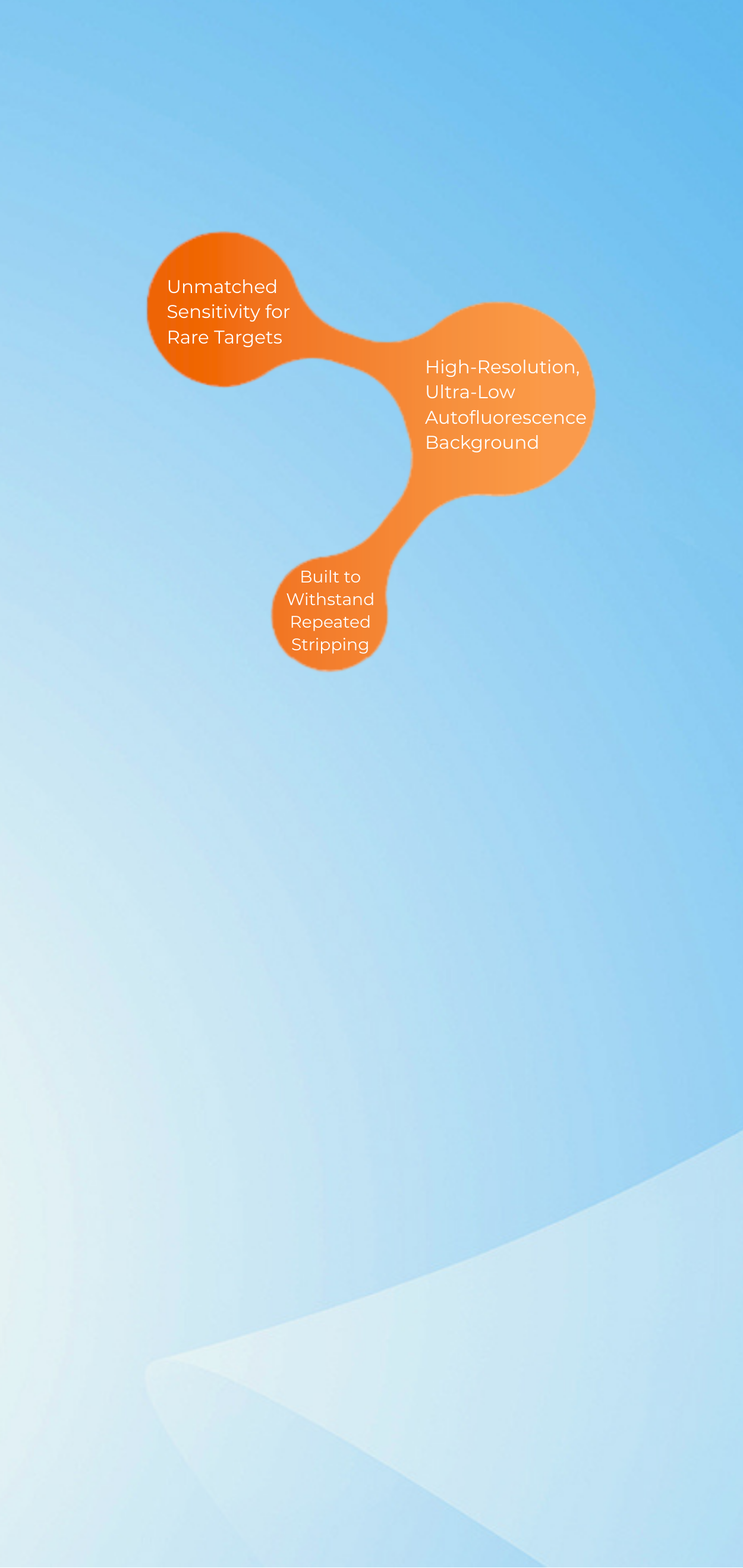 PVDF and Nitrocellulose 
Membranes