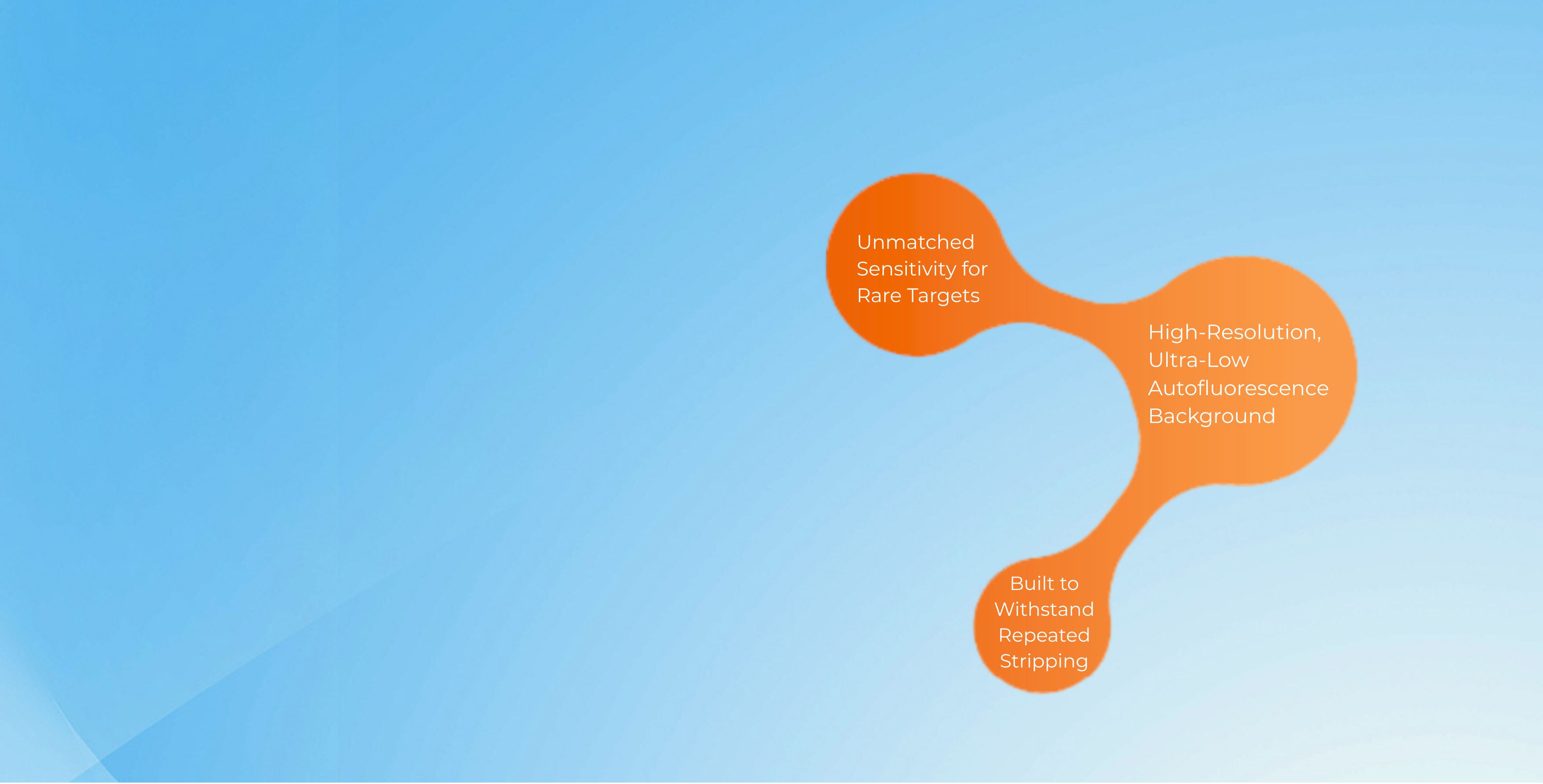 PVDF and Nitrocellulose 
Membranes