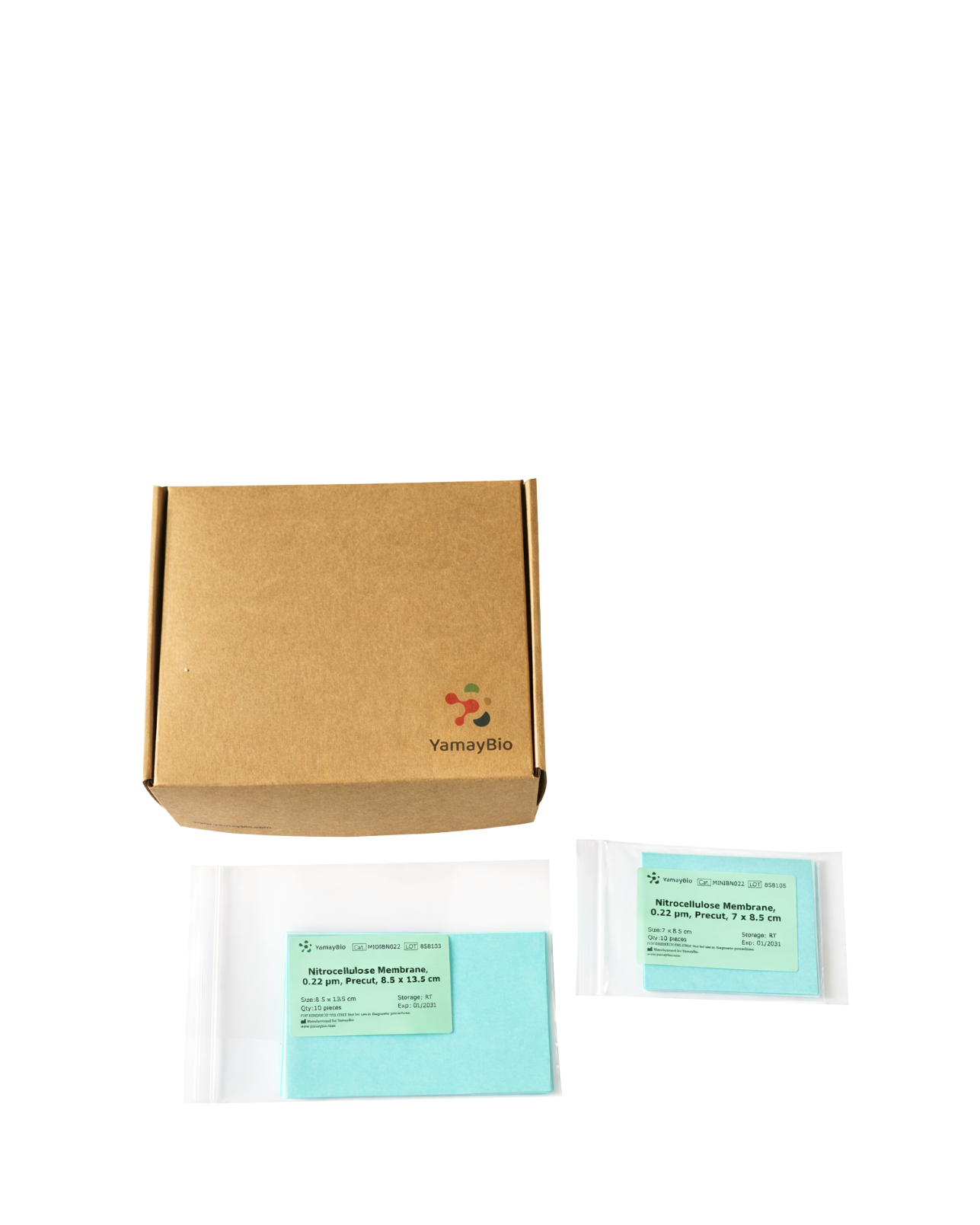 PVDF and Nitrocellulose Membranes