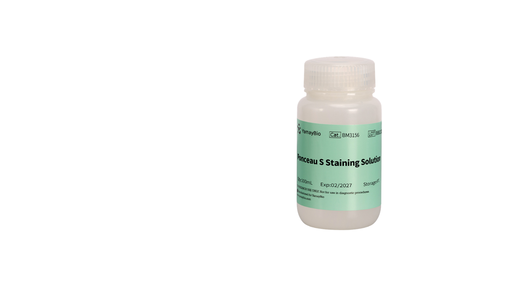 Ponceau S Staining Solution