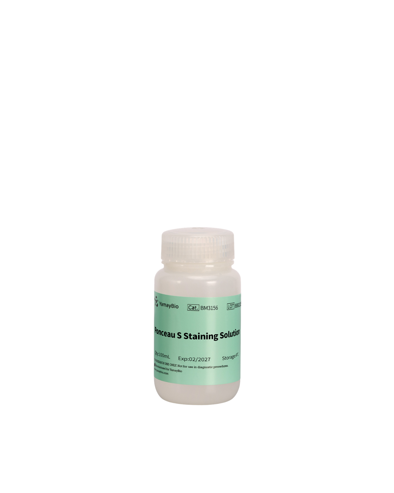 Ponceau S Staining Solution