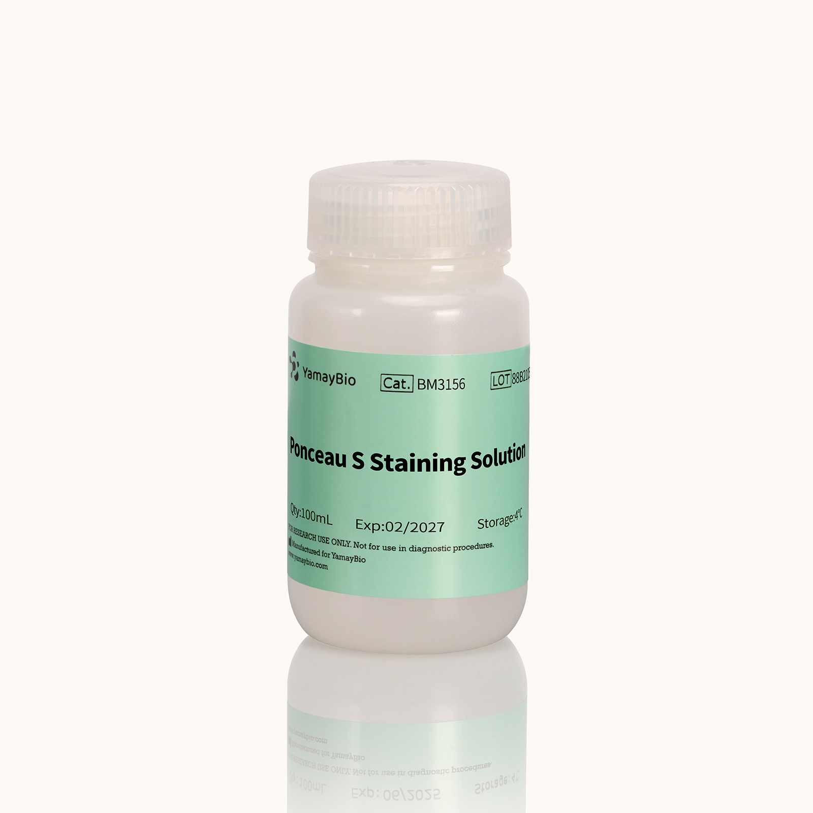 Ponceau S Staining Solution