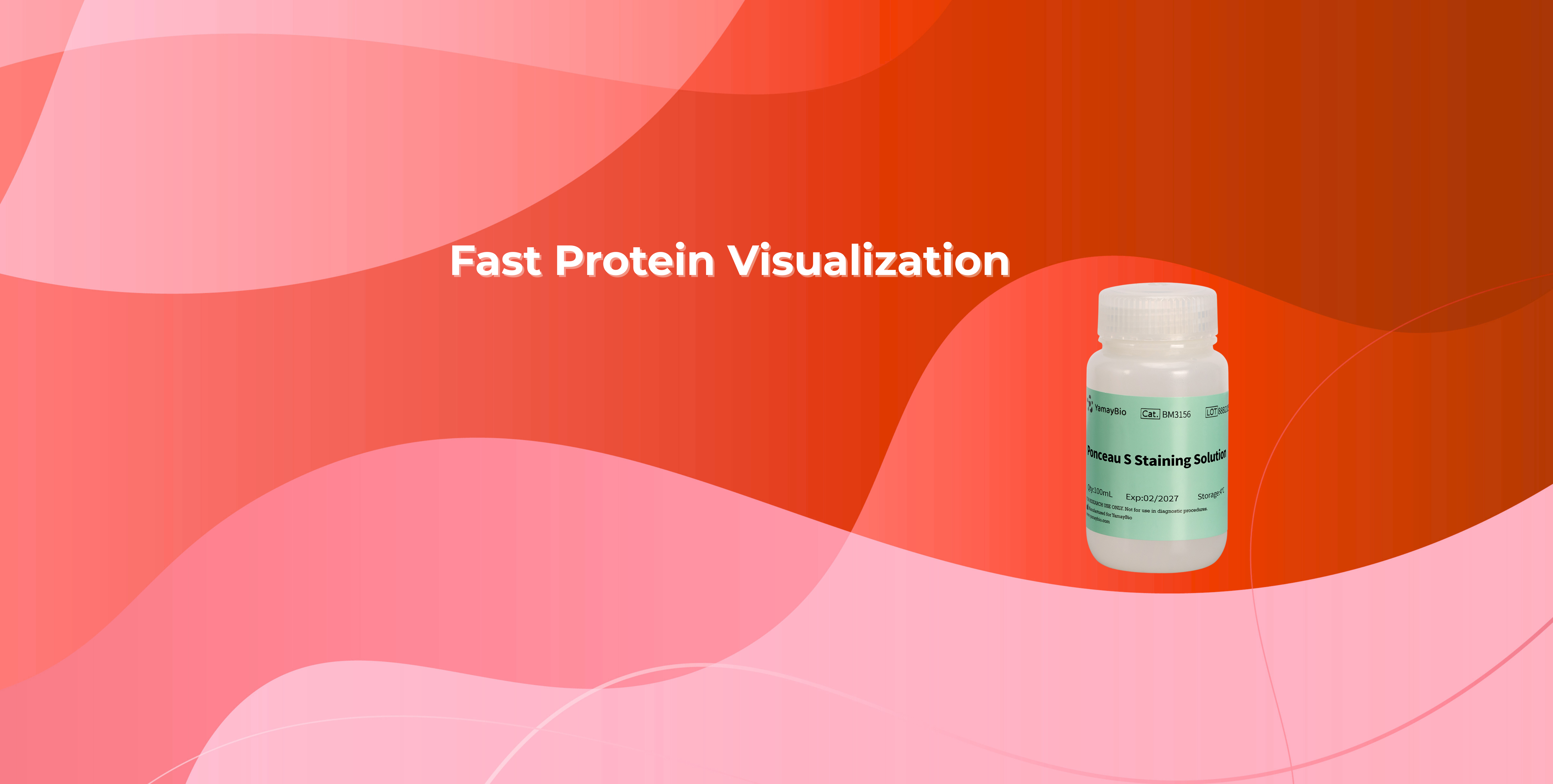 Ponceau S Staining Solution 