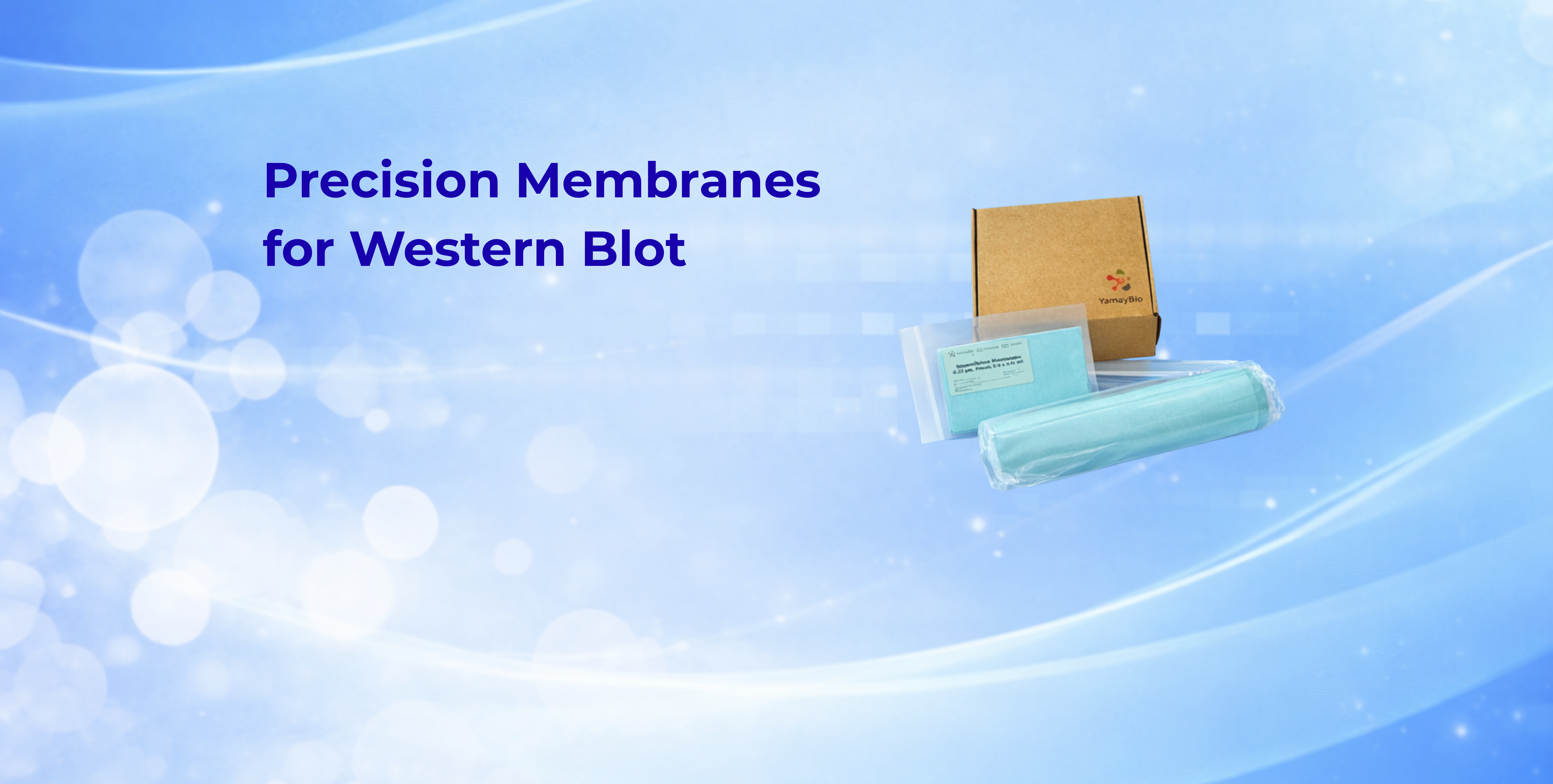 PVDF and Nitrocellulose 
Membranes