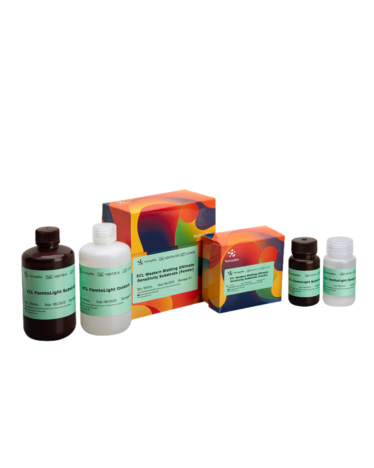 ECL Western Blotting Sensitivity Substrate