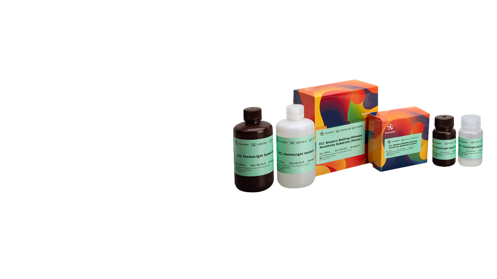 ECL Western Blotting Sensitivity Substrate