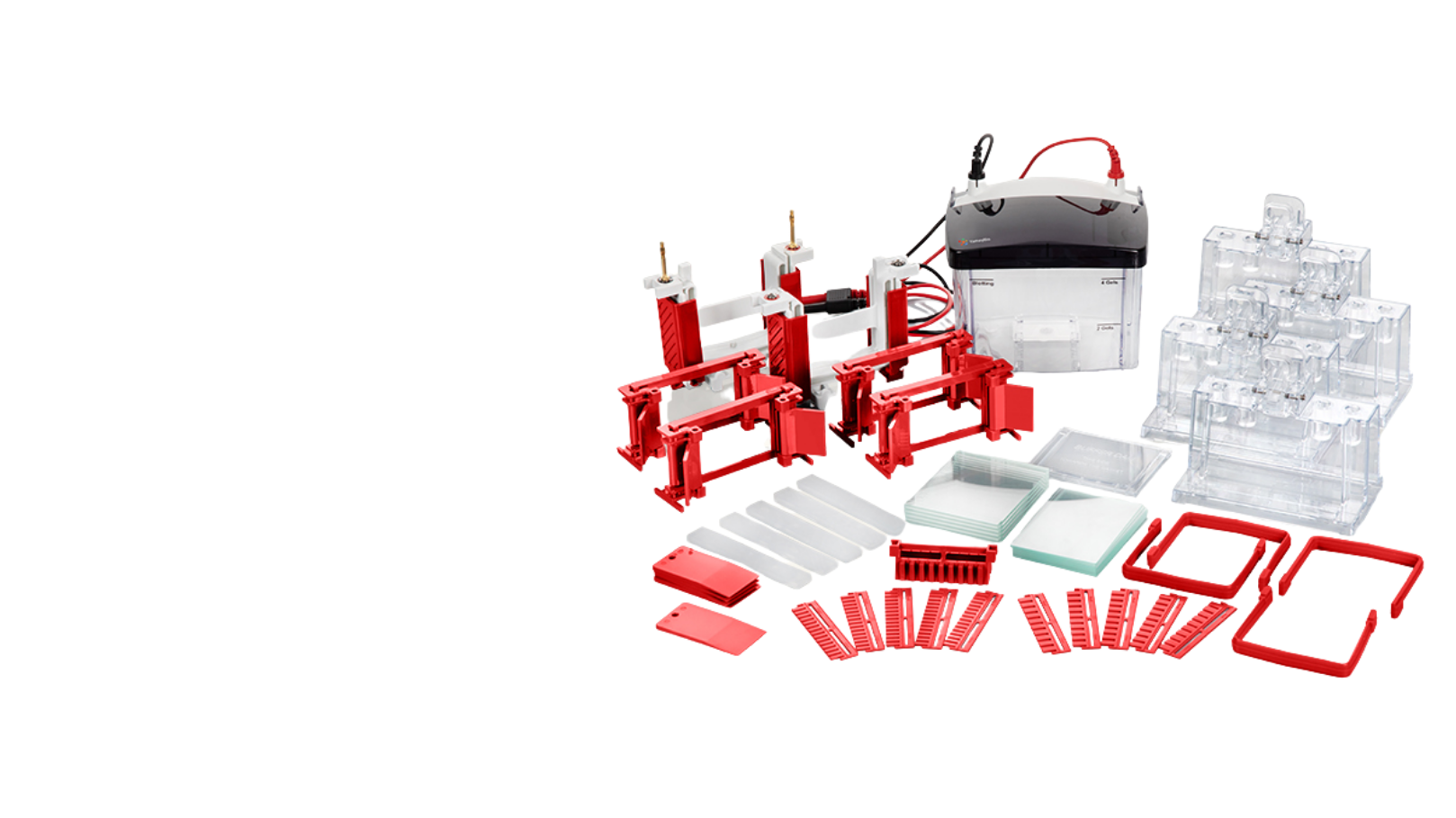 Mini Vertical Electrophoresis System