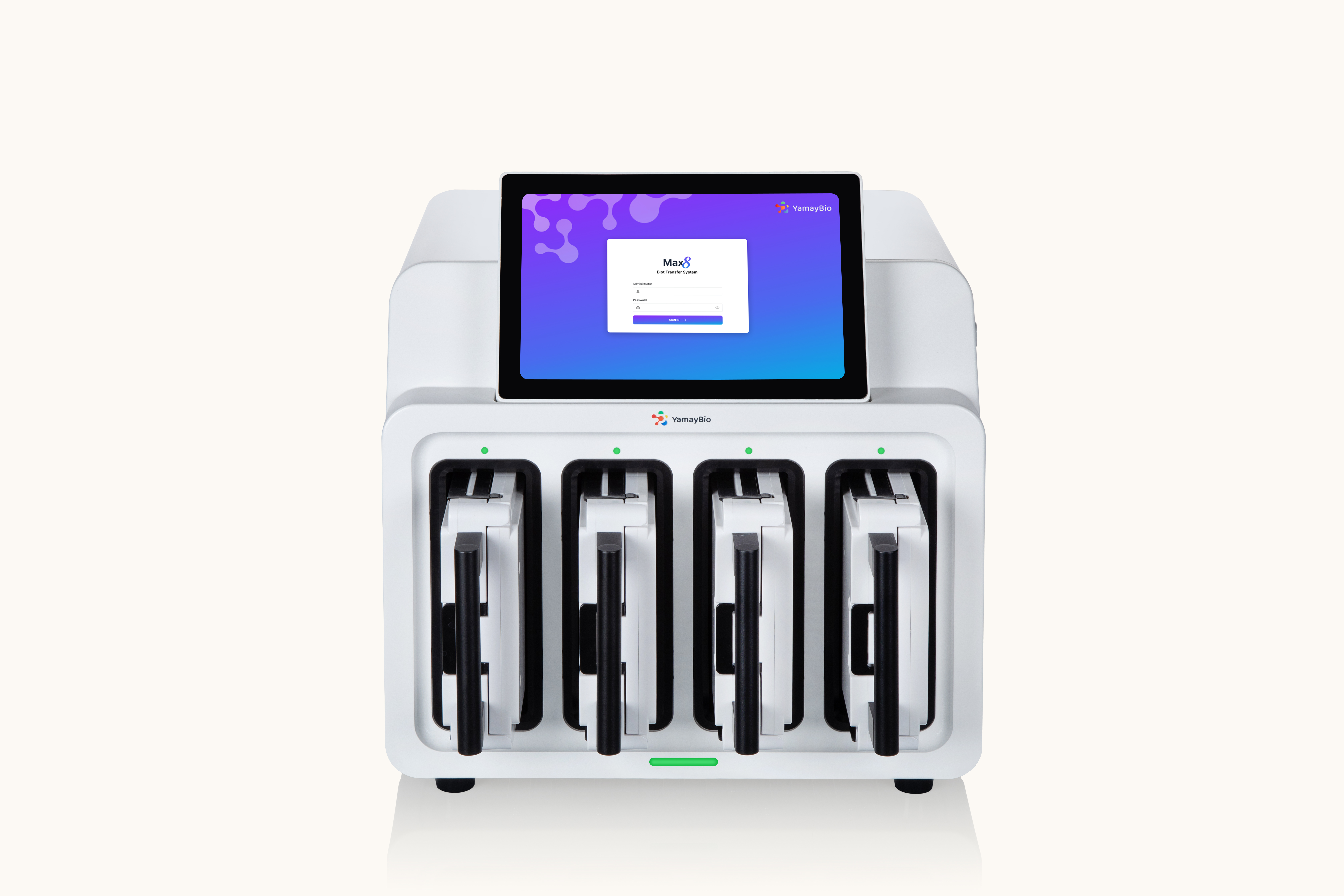 Blot Transfer System