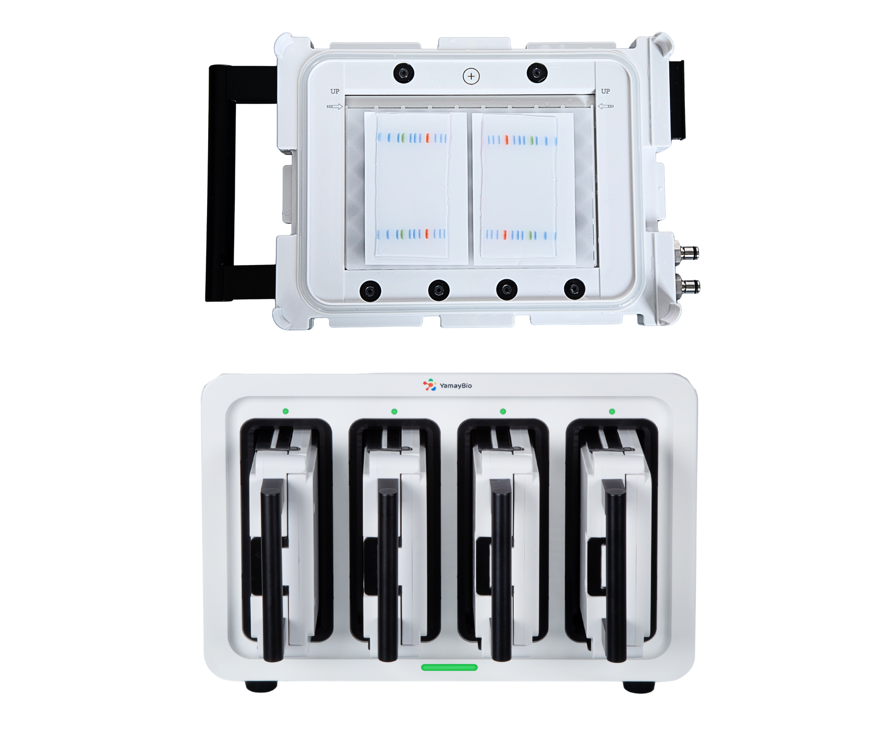 Supports simultaneous and independent processing of up to 8 mini gels or 4 midi gels, enabling efficient workflows for high-throughput laboratories.

Transfer machine setup. Two mini gels loaded in a transfer cassette (above), and view of four transfer stations (below). 
