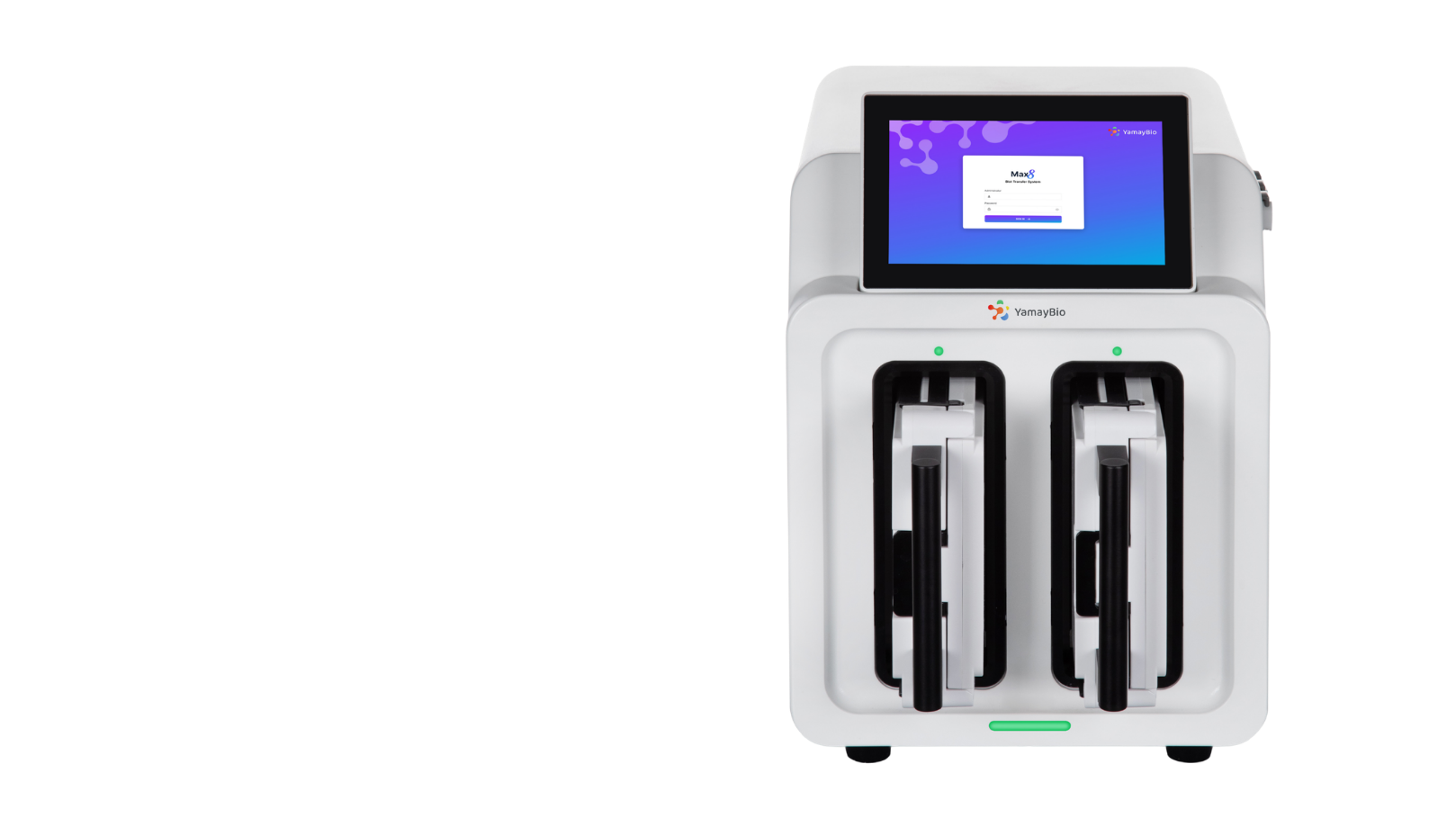Blot Transfer System