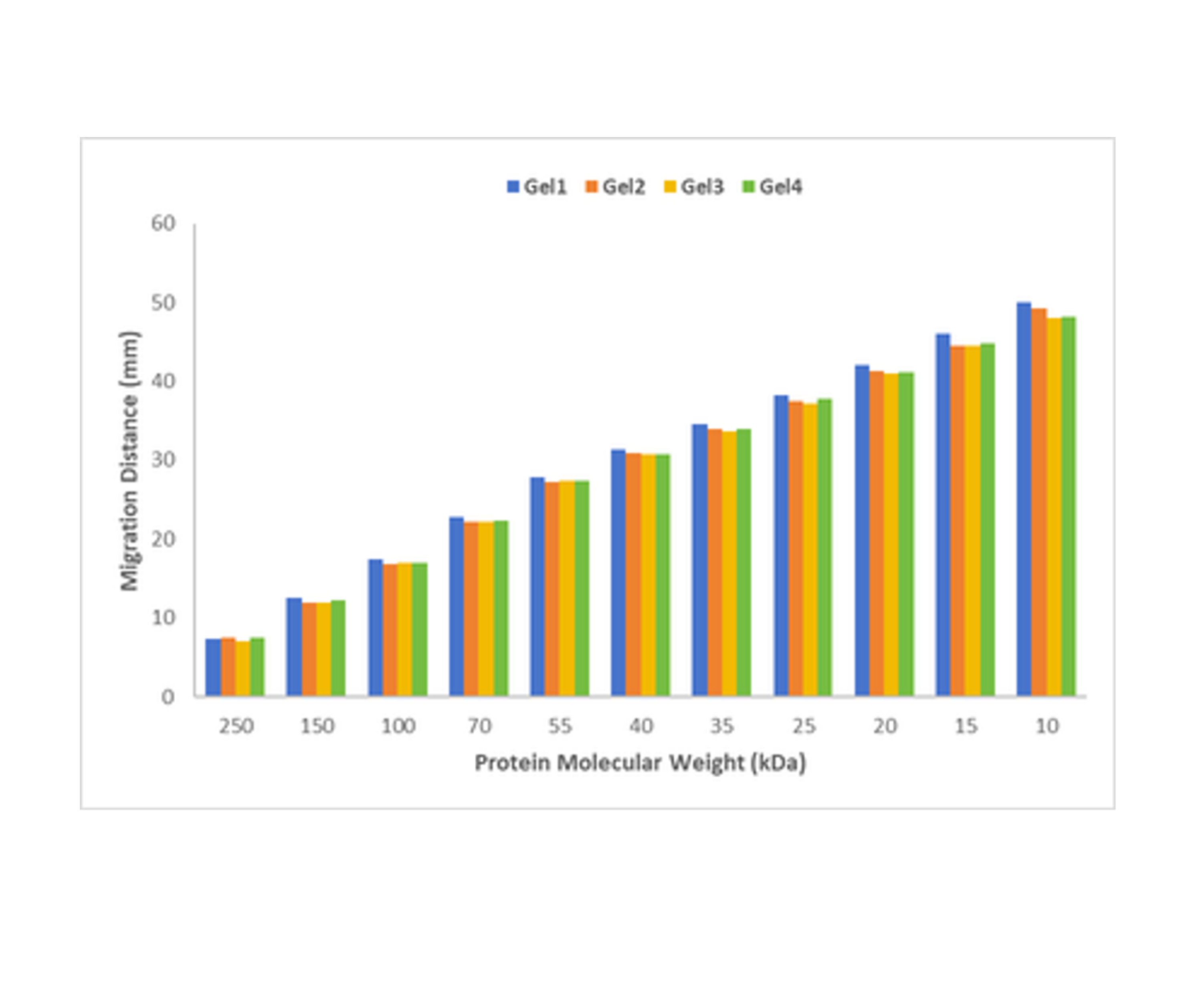 Precise reagent delivery ensures a uniform gel matrix, delivering excellent band resolution & highly reproducible Western blot results.

Four consecutive 4–20% gradient gels, each prepared using the GelMaster46 and run in Tris-Glycine-SDS buffer at 160V for 60min, show exceptional casting consistency.