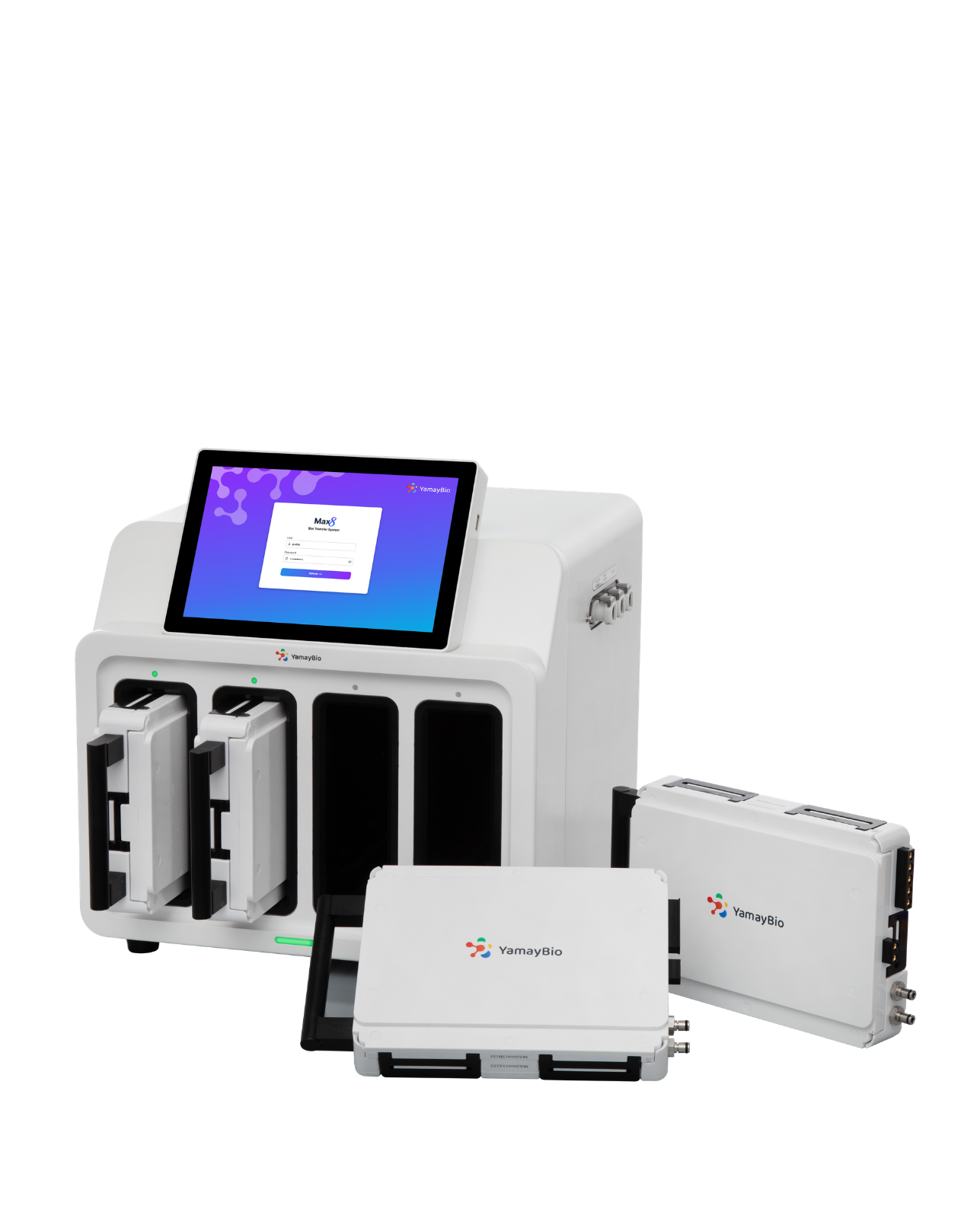 Blot Transfer System