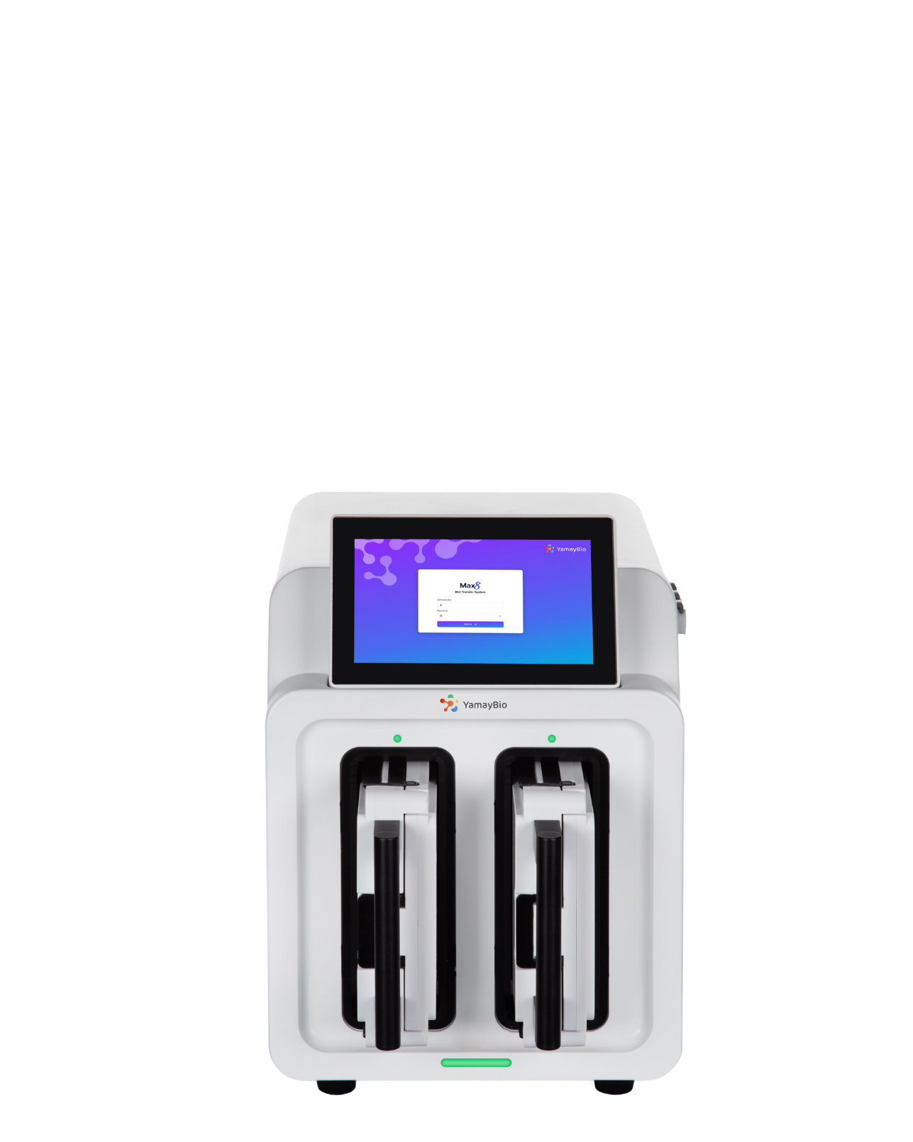 Blot Transfer System