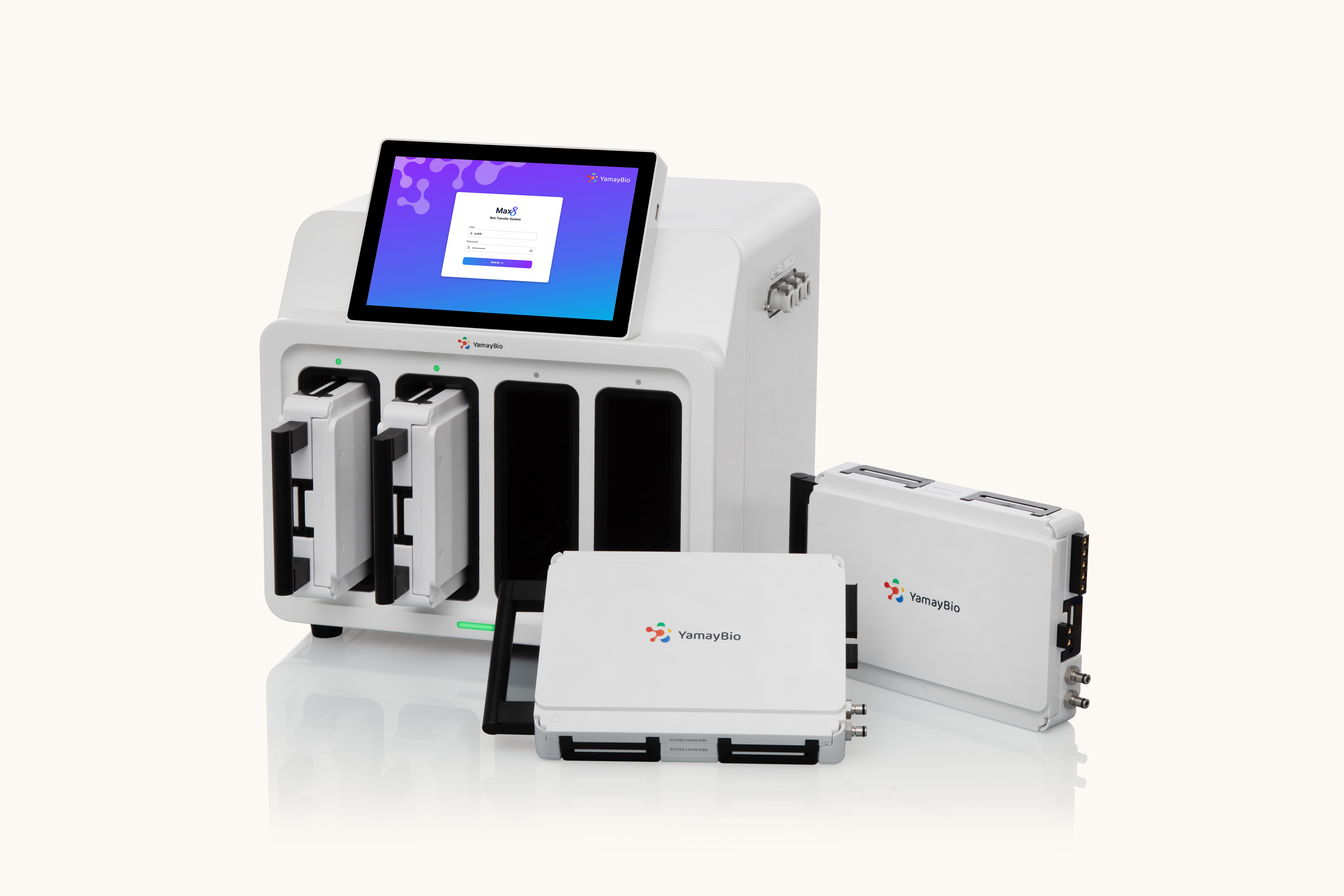 Blot Transfer System