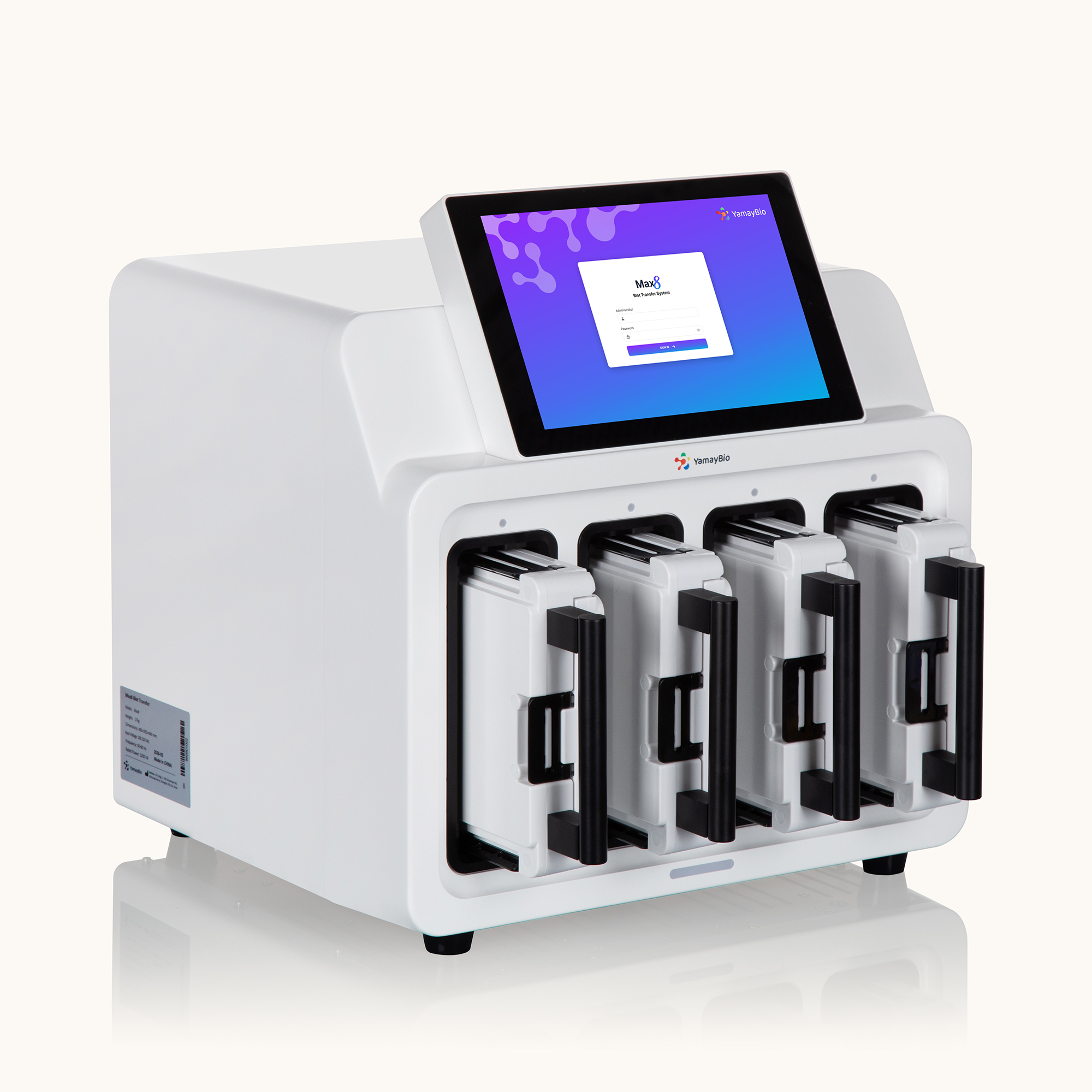 Blot Transfer System