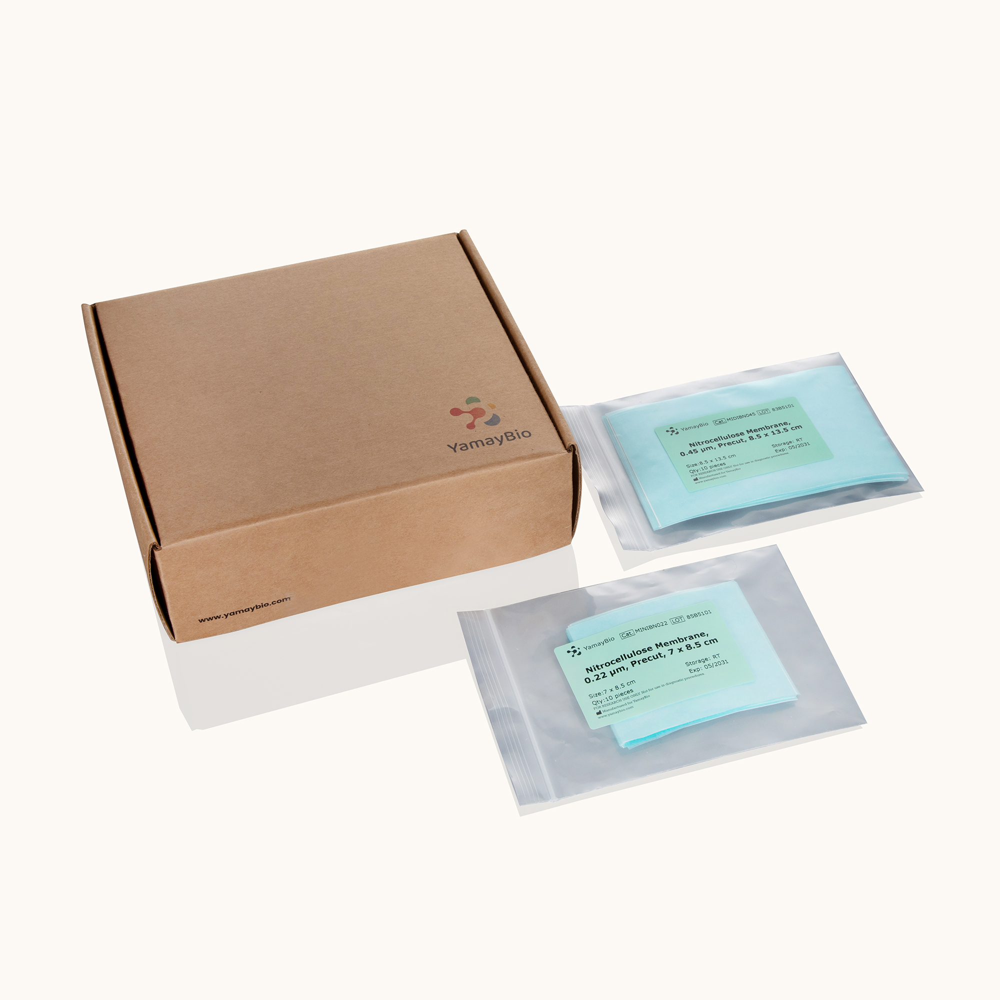 Nitrocellulose Membranes