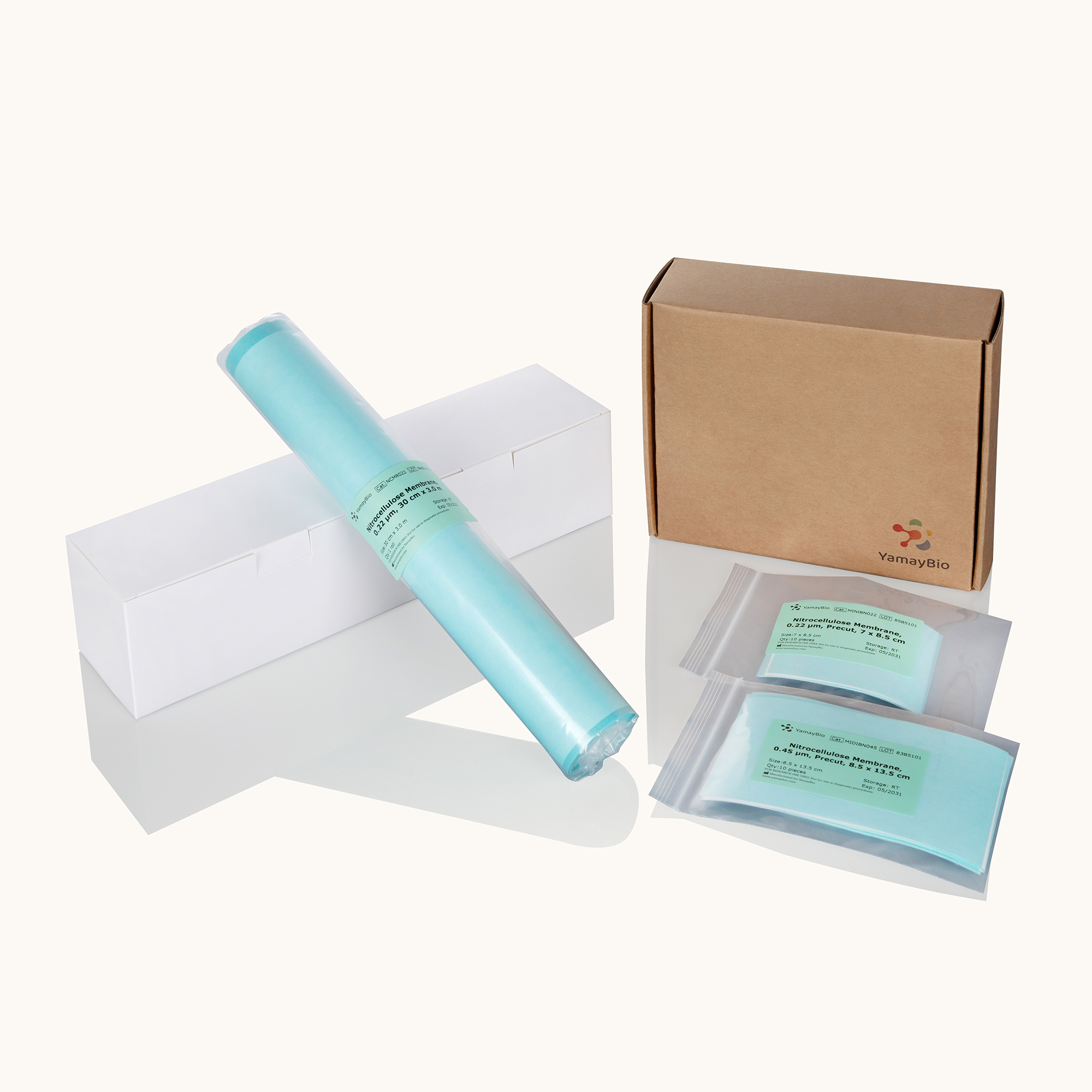 Nitrocellulose Membranes