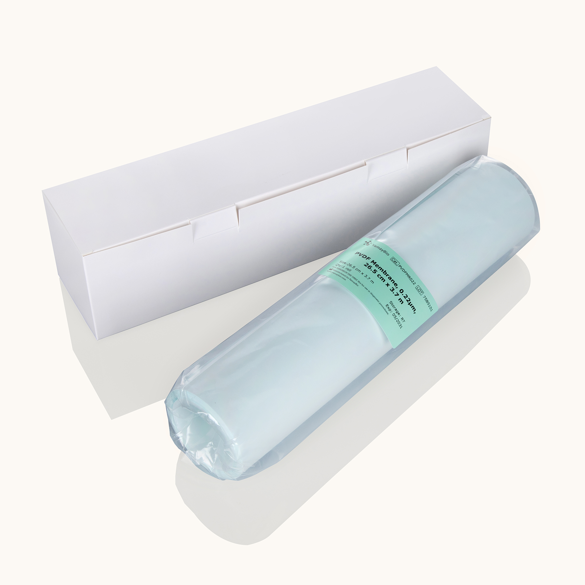 PVDF Membranes