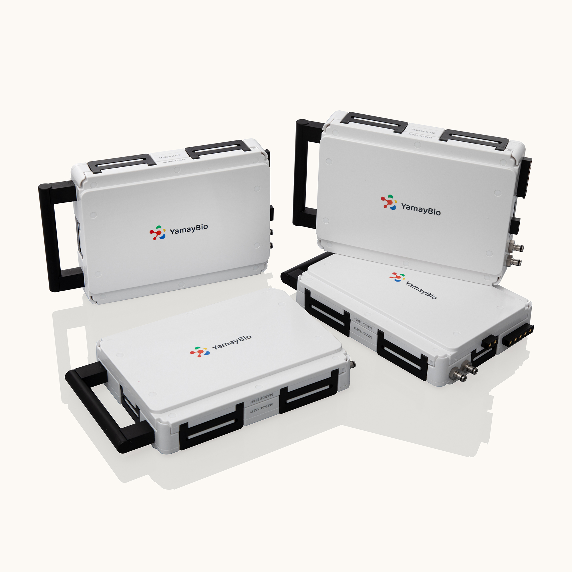 Blot Transfer System