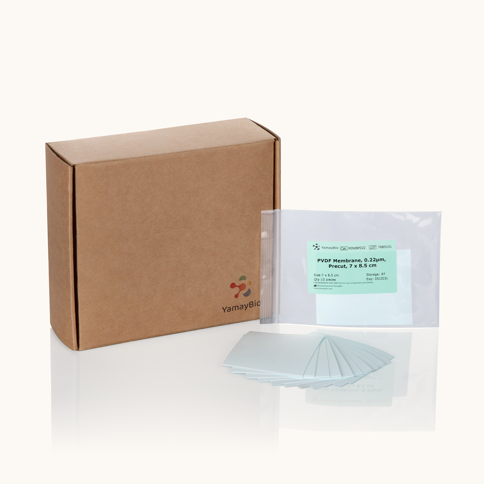 PVDF Membranes