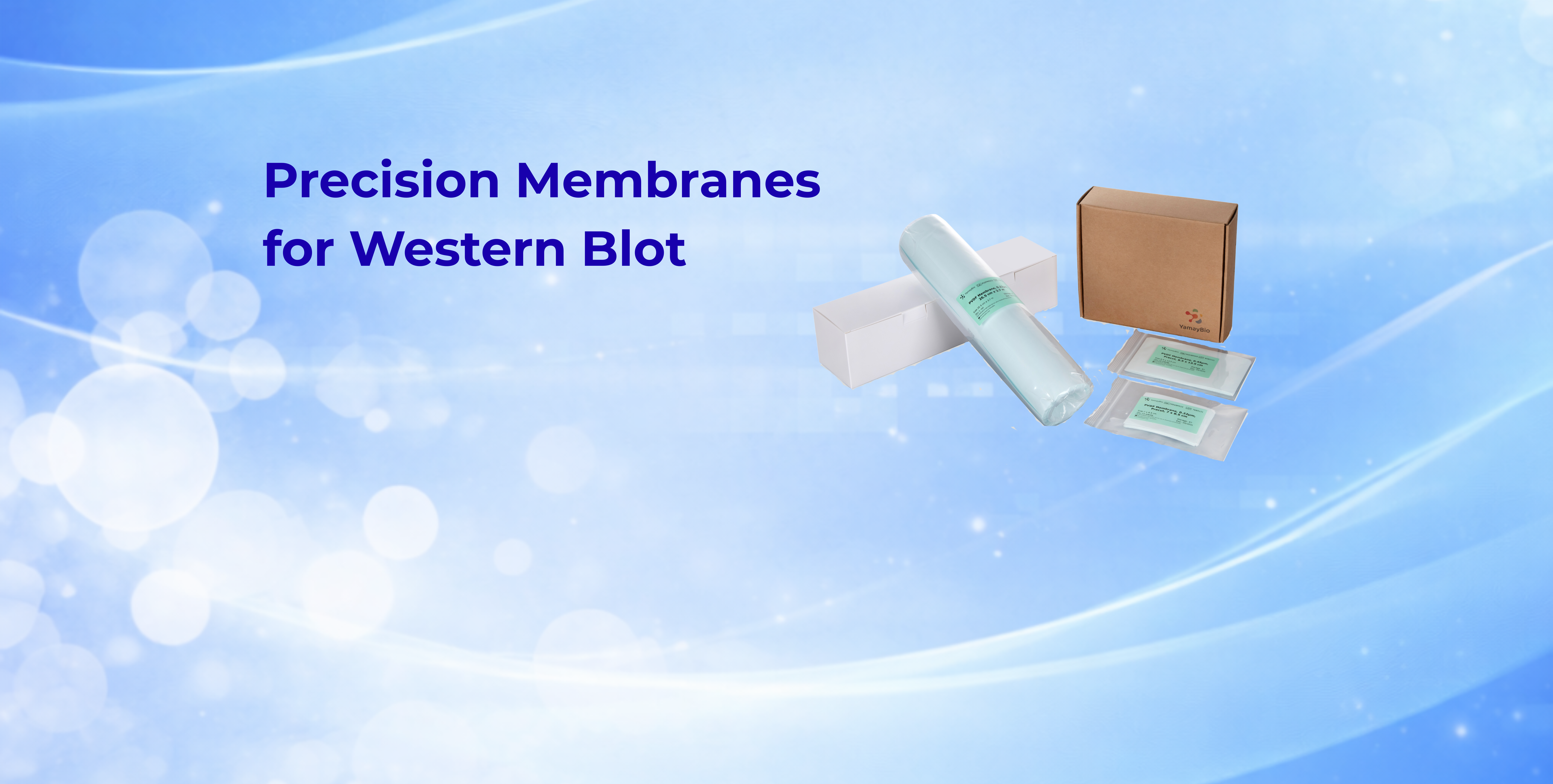 PVDF and Nitrocellulose 
Membranes